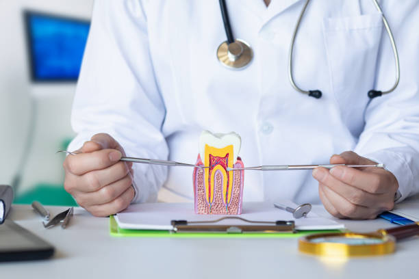 Best Cosmetic Emergency Dentistry in Fall River, WI